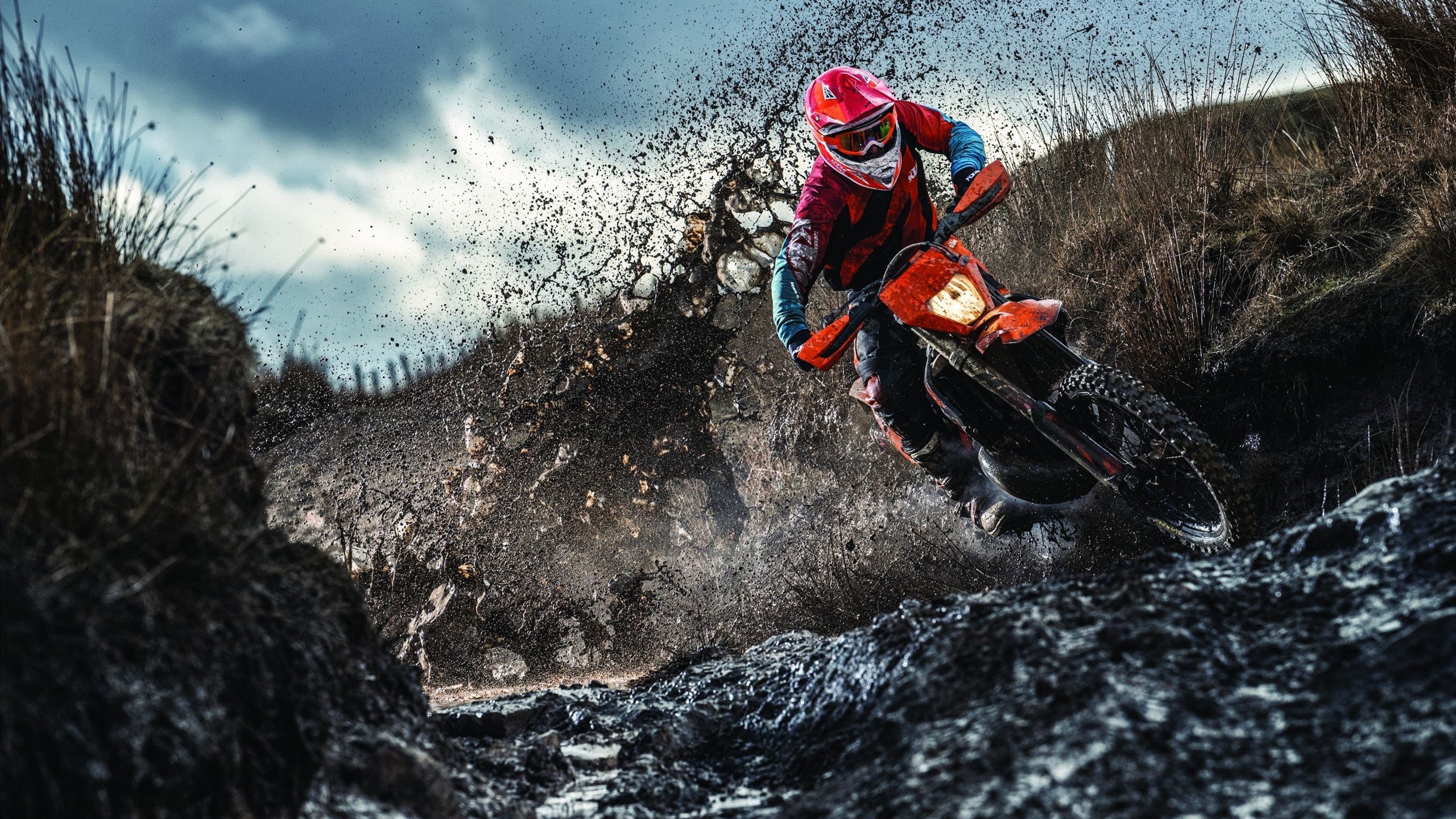 安德森的市场影响力正在吸引更多国际球探合作，球星安德森